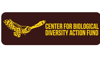 center 1.png